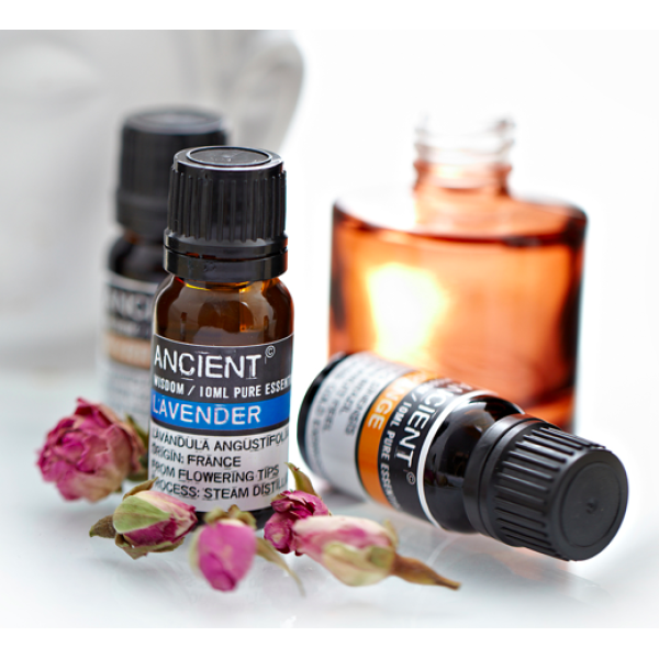 Essential Oil Lavender